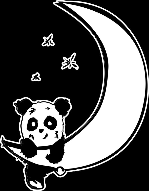 Street Panda Goes to the Moon: Introducing Our New Family Member